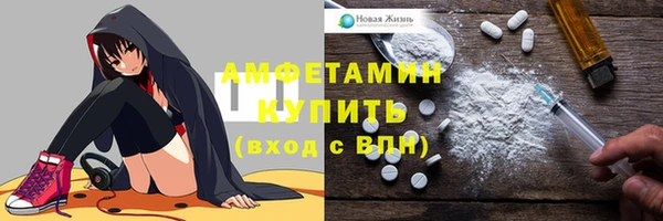 СК Новозыбков