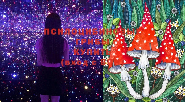 не бодяженный Новодвинск