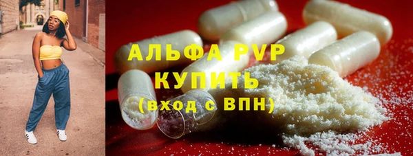 не бодяженный Новодвинск